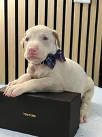 processed/0135e384-7a9e-4fb2-a4b1-1be27803e4ab/listing/9e70db6e-103f-4d47-ac96-5691408130c3/f217ad62-f4d0-4212-83eb-b1186290b145