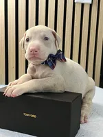 processed/0135e384-7a9e-4fb2-a4b1-1be27803e4ab/listing/9e70db6e-103f-4d47-ac96-5691408130c3/f9992f8a-db16-4e04-8730-ed53dd0aec34