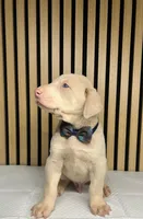 processed/0135e384-7a9e-4fb2-a4b1-1be27803e4ab/listing/c0ccd02c-9517-4caf-9901-c4ead57d7274/8db39855-7bd5-4c41-8aac-7c55f88da71d