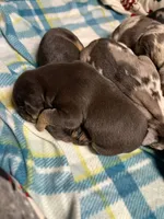 processed/0145224f-9d2c-4229-8b5f-136e921c7867/listing/9dc8c0f6-0107-4705-81ae-269753bacfd3/90cdb49c-849a-4830-917f-bc047005be39