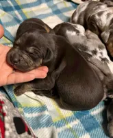 processed/0145224f-9d2c-4229-8b5f-136e921c7867/listing/9dc8c0f6-0107-4705-81ae-269753bacfd3/e4bd087e-420a-405f-8ae4-5c67f4ca3a18