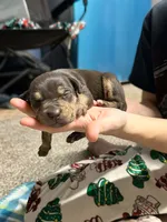 processed/0145224f-9d2c-4229-8b5f-136e921c7867/listing/b7b0bebe-a517-467c-9865-1ae3c6fd96d6/26300c88-8d82-47f2-ad0a-865ea3455e99