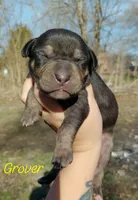 processed/0145224f-9d2c-4229-8b5f-136e921c7867/listing/b7b0bebe-a517-467c-9865-1ae3c6fd96d6/375cd611-0b1d-4009-9b27-bde102ad63e9