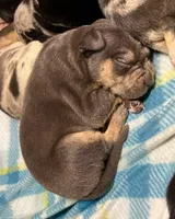 processed/0145224f-9d2c-4229-8b5f-136e921c7867/listing/b7b0bebe-a517-467c-9865-1ae3c6fd96d6/9e6f42ed-2c8b-45cf-b40e-fcca79760da5