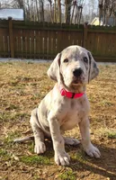 processed/014eead7-2a8e-475b-97ab-7782e7bb5b04/listing/93b0ce81-cb37-418f-826b-81700b021fa6/1878b9d6-d99a-4f8f-9a3e-6537b281f953