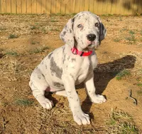 processed/014eead7-2a8e-475b-97ab-7782e7bb5b04/listing/93b0ce81-cb37-418f-826b-81700b021fa6/cbbbfd85-7355-48e2-a03a-17c3bc47a0af