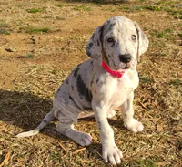 processed/014eead7-2a8e-475b-97ab-7782e7bb5b04/listing/93b0ce81-cb37-418f-826b-81700b021fa6/f8b77a8d-30da-499a-8687-66b4db0145c5