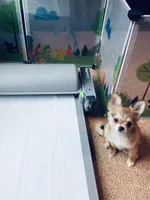 processed/0154dbcc-768c-4c72-9432-22ed0b295611/facility/050dcd43-61ff-46a3-abdf-6091027fdb5d