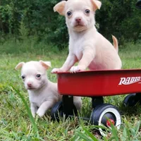 processed/0154dbcc-768c-4c72-9432-22ed0b295611/facility/16ad393d-2f31-477d-ada1-1482409d6702