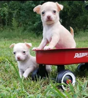 processed/0154dbcc-768c-4c72-9432-22ed0b295611/facility/16ad393d-2f31-477d-ada1-1482409d6702