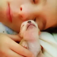 processed/0154dbcc-768c-4c72-9432-22ed0b295611/facility/19a19dd2-beaa-4a0e-8836-22ec8ad9238f