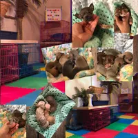 processed/0154dbcc-768c-4c72-9432-22ed0b295611/facility/361793b9-375e-4159-ab56-f1ea1be726cb