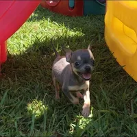 processed/0154dbcc-768c-4c72-9432-22ed0b295611/facility/553e4080-1ba1-4a25-ae3a-2568ce5960ba