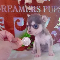 processed/0154dbcc-768c-4c72-9432-22ed0b295611/facility/60a88a31-bb7a-409a-8e4d-f3af469a1ff3