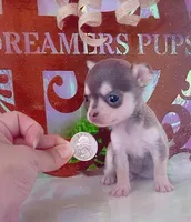 processed/0154dbcc-768c-4c72-9432-22ed0b295611/facility/60a88a31-bb7a-409a-8e4d-f3af469a1ff3