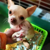 processed/0154dbcc-768c-4c72-9432-22ed0b295611/facility/e7b36acf-5297-4283-8f84-cfc71ec2c0f1