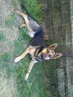 processed/015a9013-81a0-43a3-b8a2-289276392164/facility/32a70a59-95bd-4ebd-974a-6a2f9dfac35f