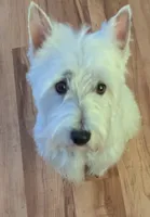 processed/015cfe3f-e2b9-42c4-b242-689ce45a2d54/listing/a1cef2cd-1802-45d2-b446-d4cdcdc0085c/df63ac4a-2f39-4bce-851e-f4a732579e7d