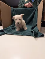 processed/015cfe3f-e2b9-42c4-b242-689ce45a2d54/listing/a1cef2cd-1802-45d2-b446-d4cdcdc0085c/e4693aa9-cf04-4d81-b595-6bf3e23412a3