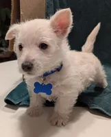 processed/015cfe3f-e2b9-42c4-b242-689ce45a2d54/listing/ebe351d3-3c71-4db6-bc71-dd71f218814c/5daf9301-3809-44c2-adf4-c28dd9583bcb