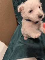 processed/015cfe3f-e2b9-42c4-b242-689ce45a2d54/listing/ebe351d3-3c71-4db6-bc71-dd71f218814c/5e820315-5a12-4925-9a8c-ad414bd1bacd