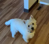 processed/015cfe3f-e2b9-42c4-b242-689ce45a2d54/listing/fe384f59-16b7-4ec7-8042-40080b323fc4/7ee4459b-6f90-4d00-bbac-fbcbfd3b4582