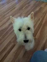 processed/015cfe3f-e2b9-42c4-b242-689ce45a2d54/listing/fe384f59-16b7-4ec7-8042-40080b323fc4/d9a7e902-ccf2-4cd6-85ae-0d779200e901