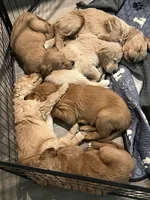 Facility photo