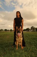 Maya – German Shepherd Puppy (Black & Tan, Well Socialized), a female German Shepherd Dog for sale in Tampa, FL – Photo 5 of 8