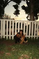 Rocky – German Shepherd Puppy (Black & Tan, Trained Parents), a male German Shepherd Dog for sale in Tampa, FL – Photo 8 of 8