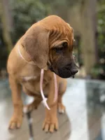 processed/0174a3a1-decb-40fc-a67f-cd3882e8ff52/listing/028a3425-c82d-4876-a63b-029f3ba326a2/4d52f67d-51fe-45a4-b39a-907c2bee88f7