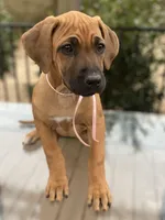 processed/0174a3a1-decb-40fc-a67f-cd3882e8ff52/listing/028a3425-c82d-4876-a63b-029f3ba326a2/53b14aeb-2364-4877-8834-6b1d05041aee