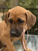 processed/0174a3a1-decb-40fc-a67f-cd3882e8ff52/listing/028a3425-c82d-4876-a63b-029f3ba326a2/5a15e14c-c9db-4621-b94c-2fc85965062e