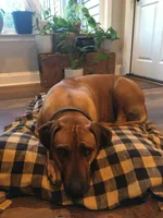 processed/0174a3a1-decb-40fc-a67f-cd3882e8ff52/listing/028a3425-c82d-4876-a63b-029f3ba326a2/a5756c7c-24a9-44a4-96af-0a8f17991514