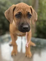 processed/0174a3a1-decb-40fc-a67f-cd3882e8ff52/listing/028a3425-c82d-4876-a63b-029f3ba326a2/f9370057-8b3e-4b65-ab69-c2072c592612