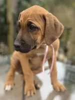 processed/0174a3a1-decb-40fc-a67f-cd3882e8ff52/listing/028a3425-c82d-4876-a63b-029f3ba326a2/fe1f3c78-715e-43d5-900e-26683c25cf63