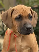 processed/0174a3a1-decb-40fc-a67f-cd3882e8ff52/listing/a38bd9d8-a2ef-4f8e-9737-eda328f29f55/53bf5e4a-9114-4579-8167-3730d832aca4