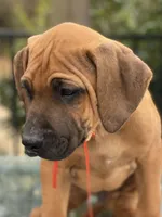 processed/0174a3a1-decb-40fc-a67f-cd3882e8ff52/listing/a38bd9d8-a2ef-4f8e-9737-eda328f29f55/6d8fc38a-8d04-4795-9b5a-5b862b33073d