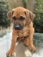 processed/0174a3a1-decb-40fc-a67f-cd3882e8ff52/listing/a38bd9d8-a2ef-4f8e-9737-eda328f29f55/713aaec6-4fa0-47e3-b699-97ceb3ceaaea