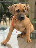 processed/0174a3a1-decb-40fc-a67f-cd3882e8ff52/listing/a38bd9d8-a2ef-4f8e-9737-eda328f29f55/b5523562-13ea-451c-9bf9-2c87d735ed4a