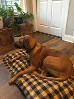 processed/0174a3a1-decb-40fc-a67f-cd3882e8ff52/listing/a38bd9d8-a2ef-4f8e-9737-eda328f29f55/cc9e3ca0-06f1-4290-84a8-1a8a52387608