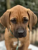 processed/0174a3a1-decb-40fc-a67f-cd3882e8ff52/listing/d4d8f947-9a1f-41ab-9827-a44d61faa7bd/040242c6-fb9d-480f-b613-607adc5be262