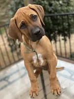 processed/0174a3a1-decb-40fc-a67f-cd3882e8ff52/listing/d4d8f947-9a1f-41ab-9827-a44d61faa7bd/38b60511-ae47-4553-afdf-51e7da1b07c3