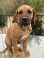 processed/0174a3a1-decb-40fc-a67f-cd3882e8ff52/listing/d4d8f947-9a1f-41ab-9827-a44d61faa7bd/bf8d70d9-d6a4-4115-9ef0-dbebc73a986f