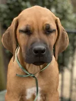 processed/0174a3a1-decb-40fc-a67f-cd3882e8ff52/listing/d4d8f947-9a1f-41ab-9827-a44d61faa7bd/d0ae18a6-2725-4770-8495-0c53942d7abe