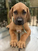 processed/0174a3a1-decb-40fc-a67f-cd3882e8ff52/listing/d4d8f947-9a1f-41ab-9827-a44d61faa7bd/f3bf63ca-09d5-44f1-b6d9-7604523c8206