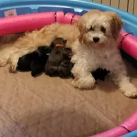 processed/01780e2c-462b-492a-9590-b8c039d8d2eb/facility/8904f791-eb57-4f0d-b41b-bb8dca0dde13