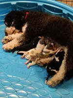 processed/01780e2c-462b-492a-9590-b8c039d8d2eb/facility/ce3750e9-e447-41d7-99f1-71d307a09432