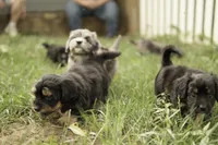 processed/01780e2c-462b-492a-9590-b8c039d8d2eb/facility/e56f1f64-28f7-4072-bad8-85ee83d396e1