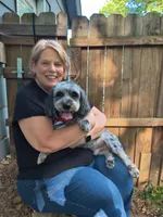 Digger , a male Miniature Bernedoodle for sale in Oak Grove, MO – 4 of 8